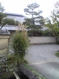 kyoto%20007.jpg